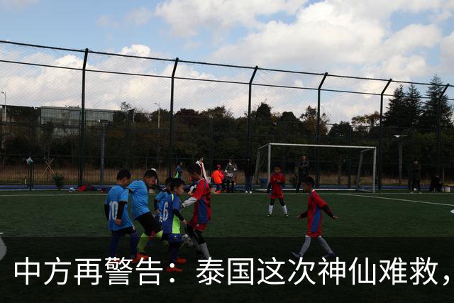 中方再警告：泰国这次神仙难救，大量国人成猪仔，谁在自寻死路？