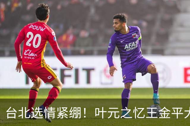 台北选情紧绷！叶元之忆王金平大罢免最后一周示警“只有你危险”
