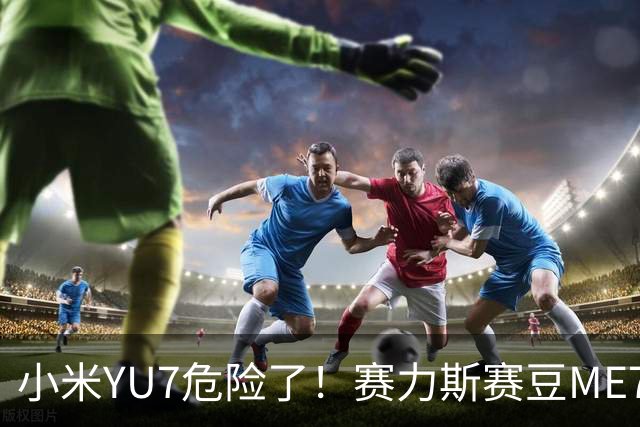 小米YU7危险了！赛力斯赛豆ME7来了