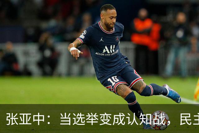张亚中：当选举变成认知战，民主还有意义吗