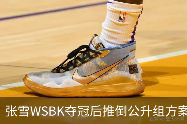 张雪WSBK夺冠后推倒公升组方案：弃四缸改自研V5，两年冲公升组经理放话全力托底