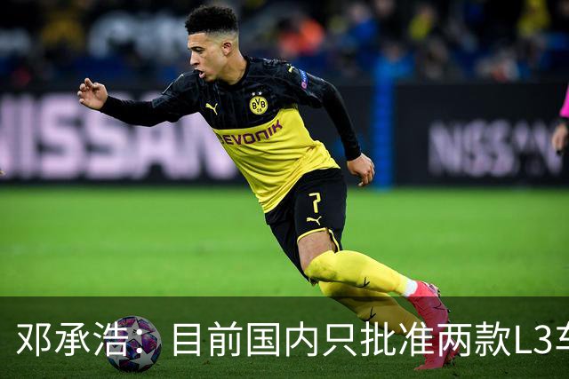 邓承浩：目前国内只批准两款L3车型 其它企业讲L3级是在打擦边球